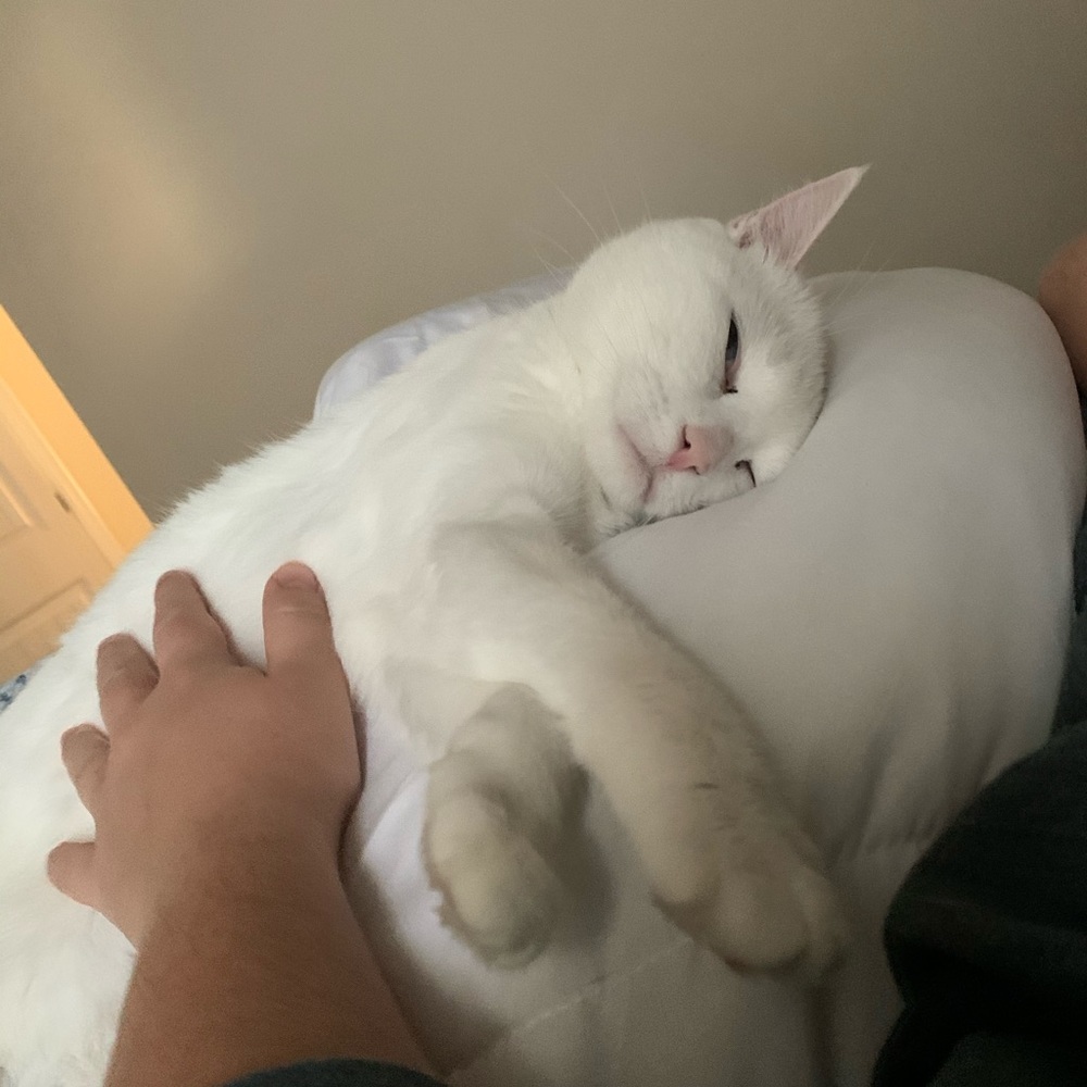 Meet your Posher, Seth